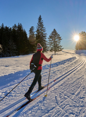 Ski de fond