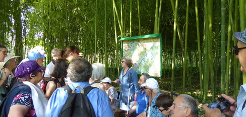 Inclusion et citoyenneté