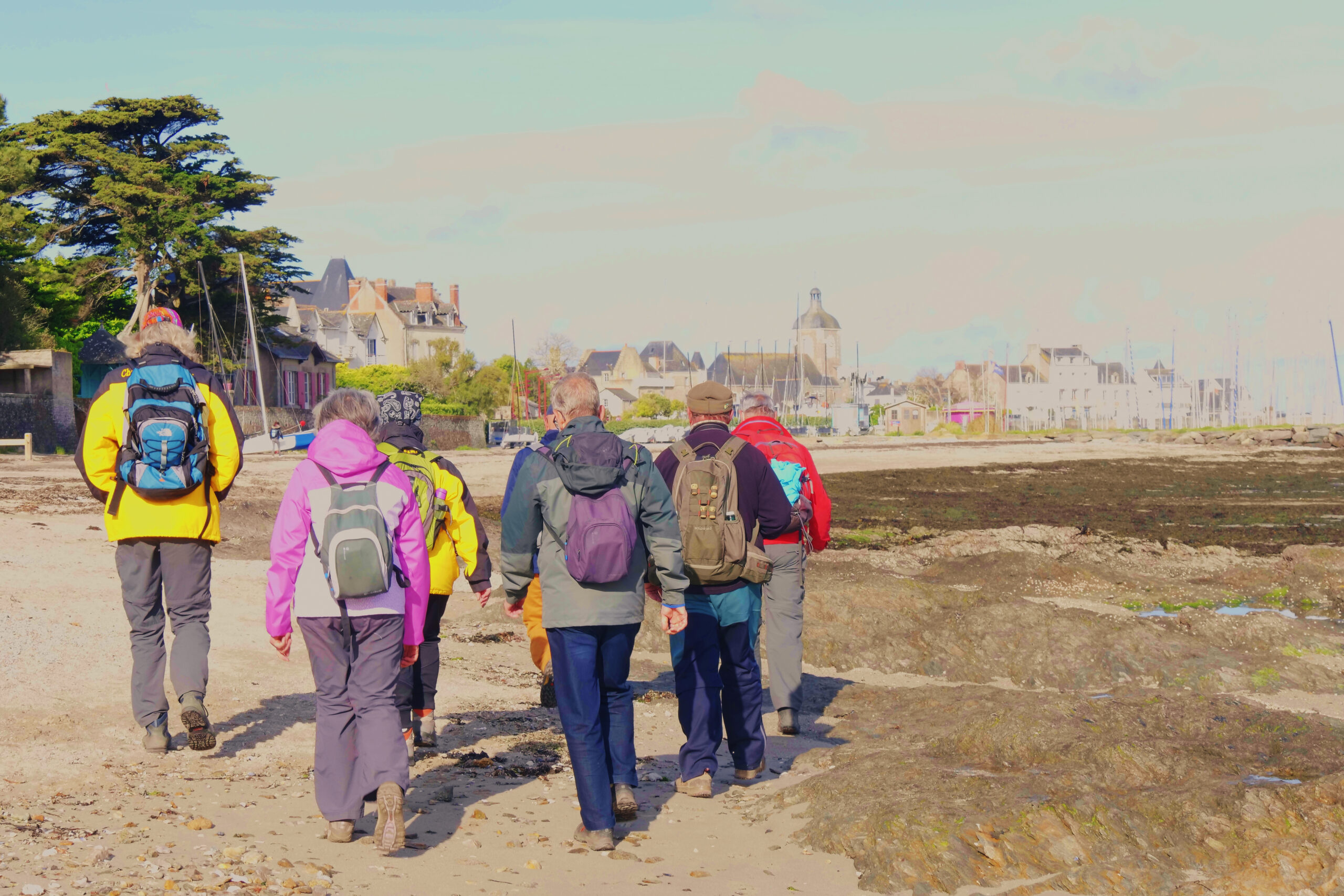 image pleine largeur