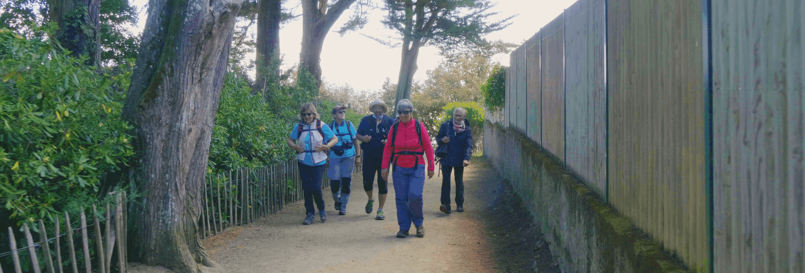 image pleine largeur