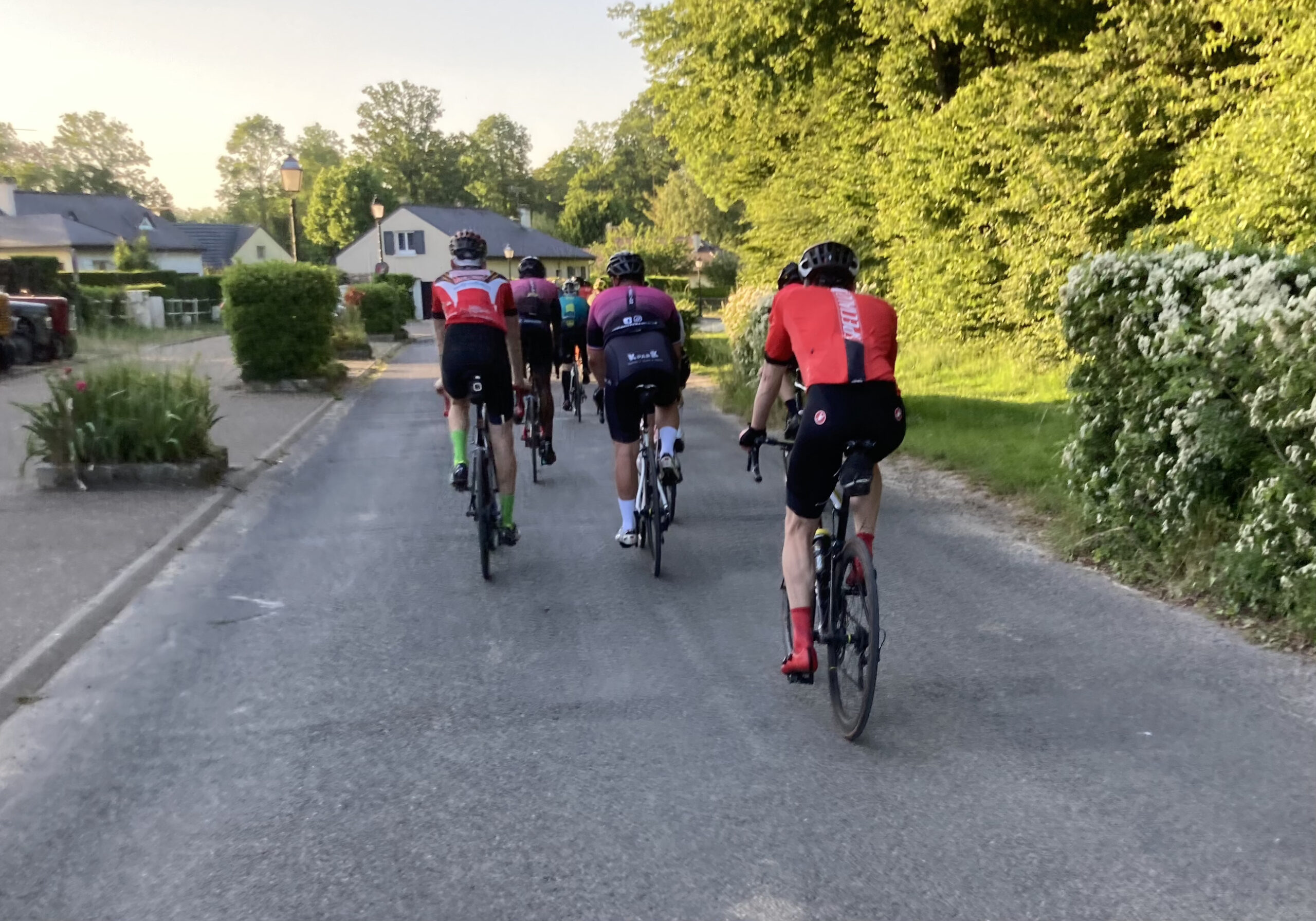 image pleine largeur