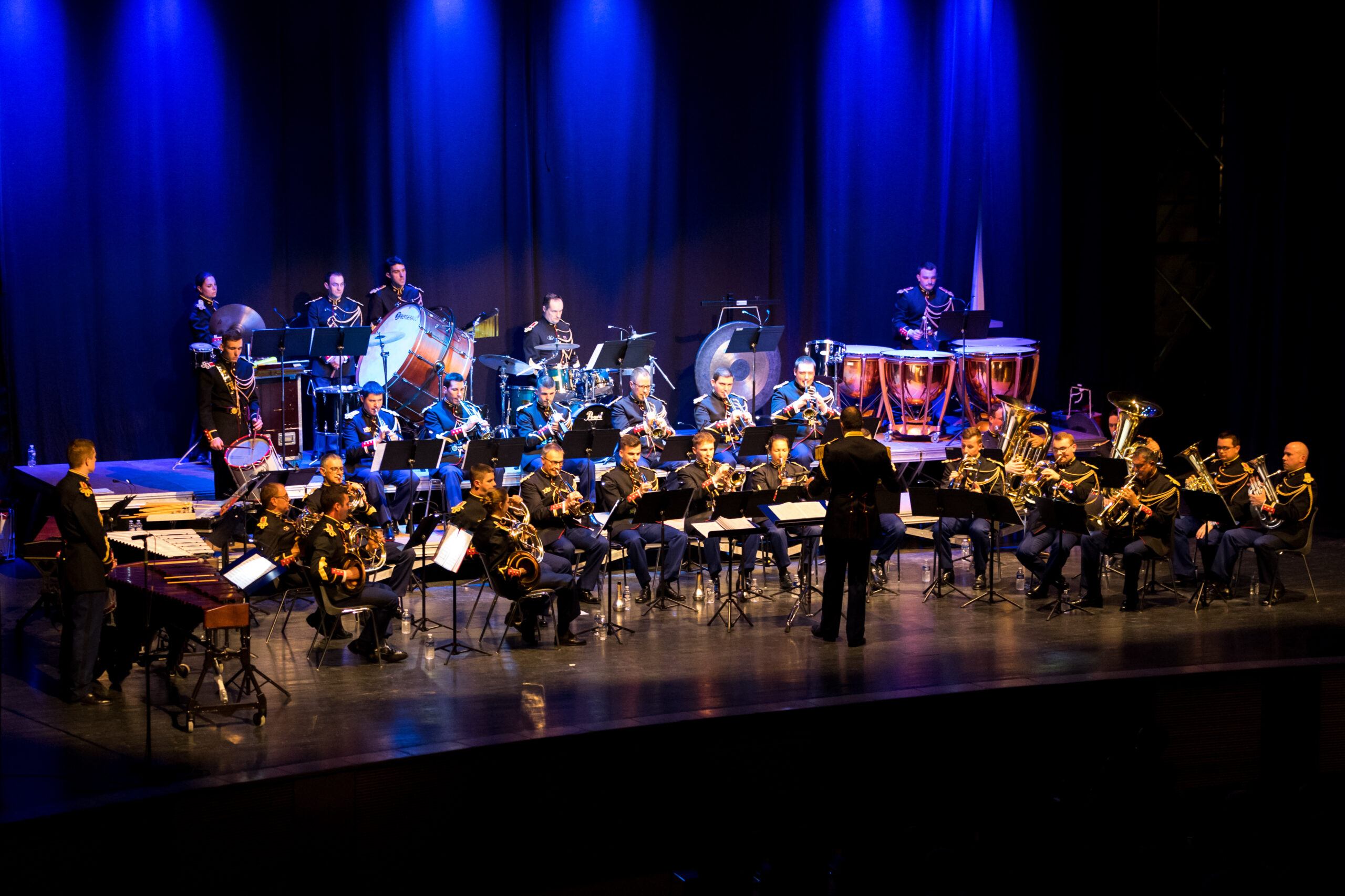 image pleine largeur