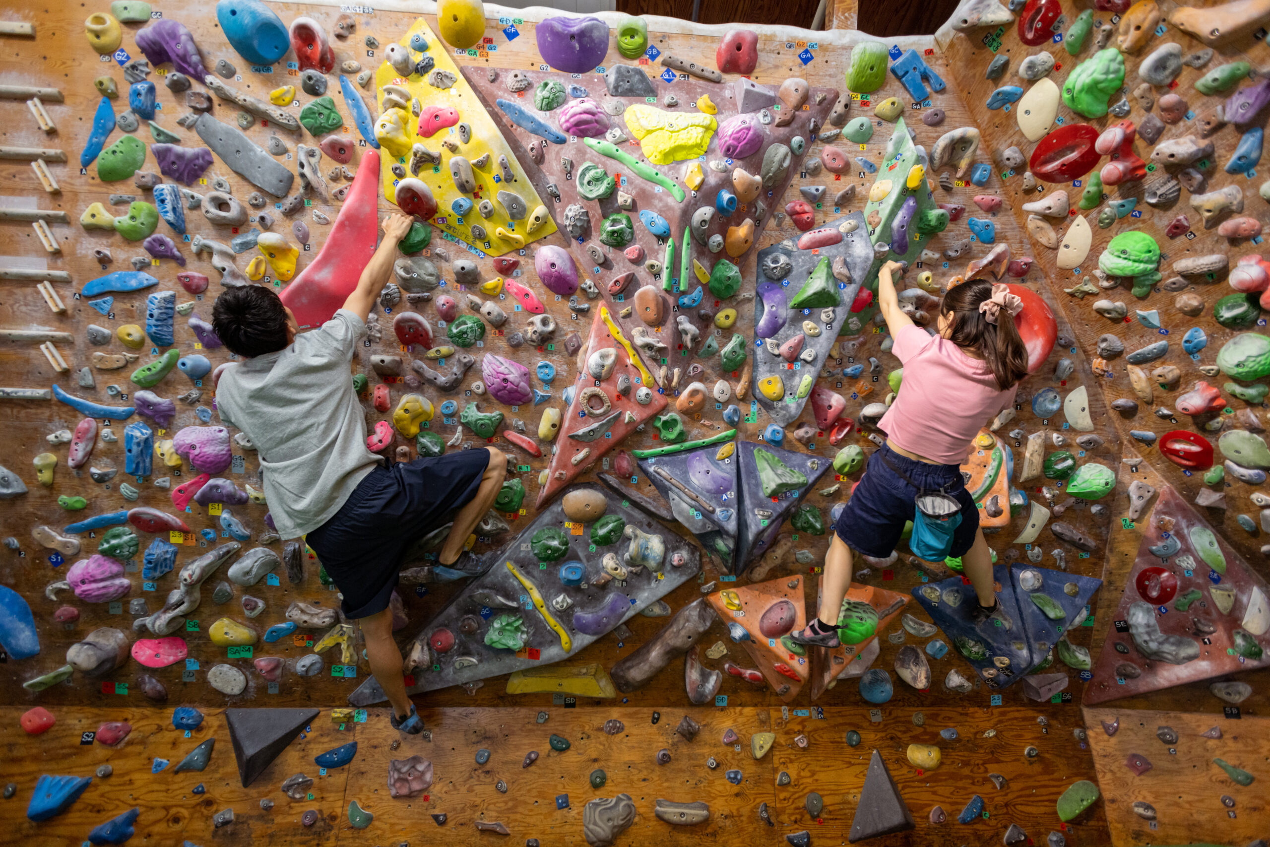 image pleine largeur