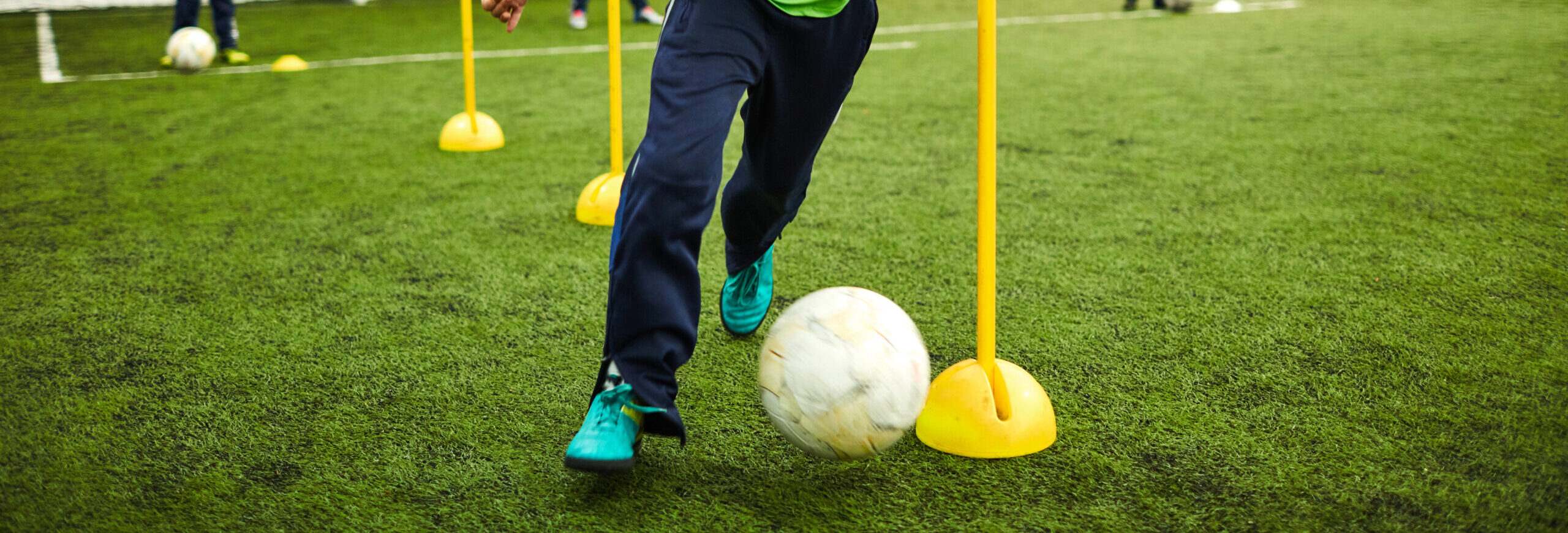 image pleine largeur