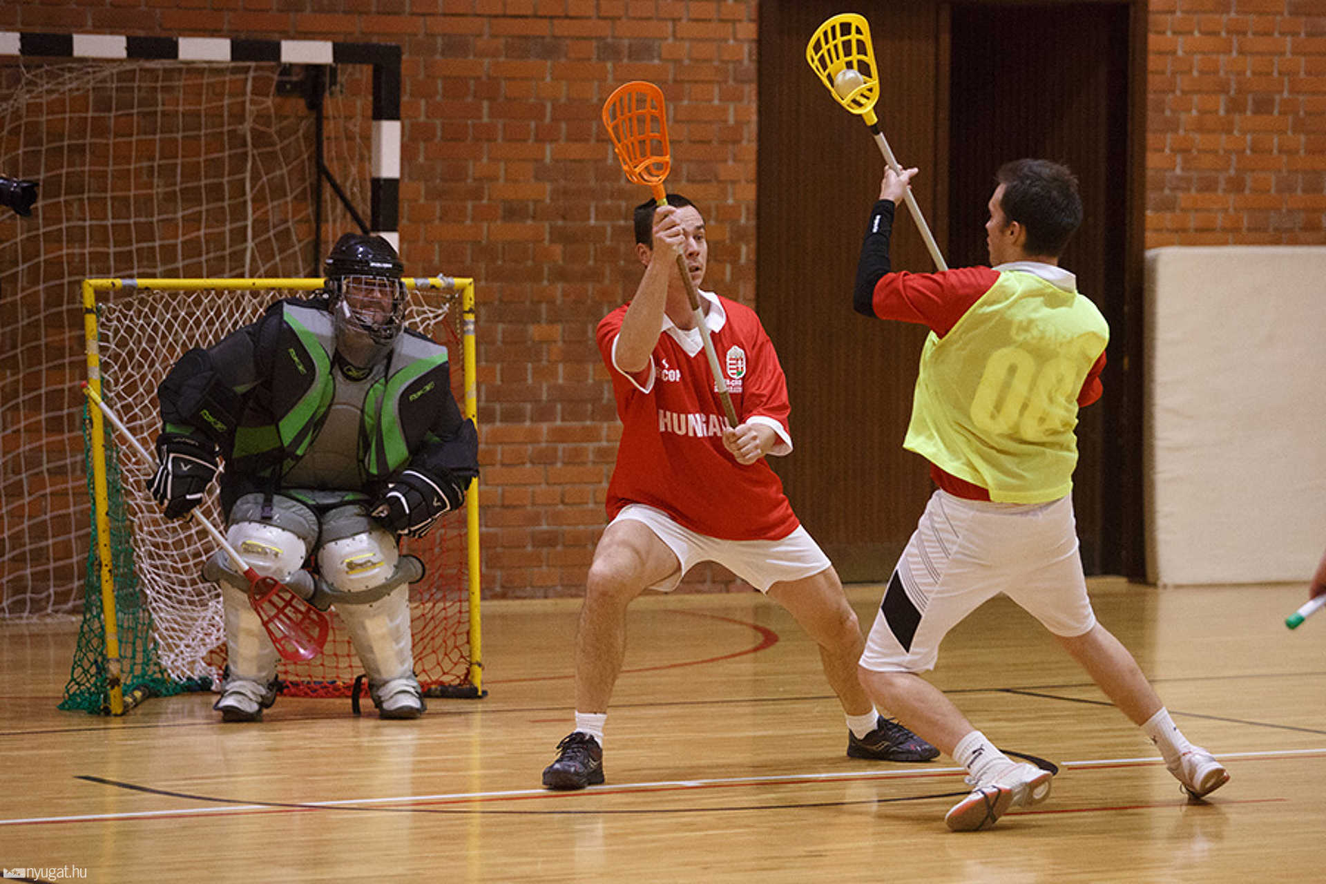 image pleine largeur