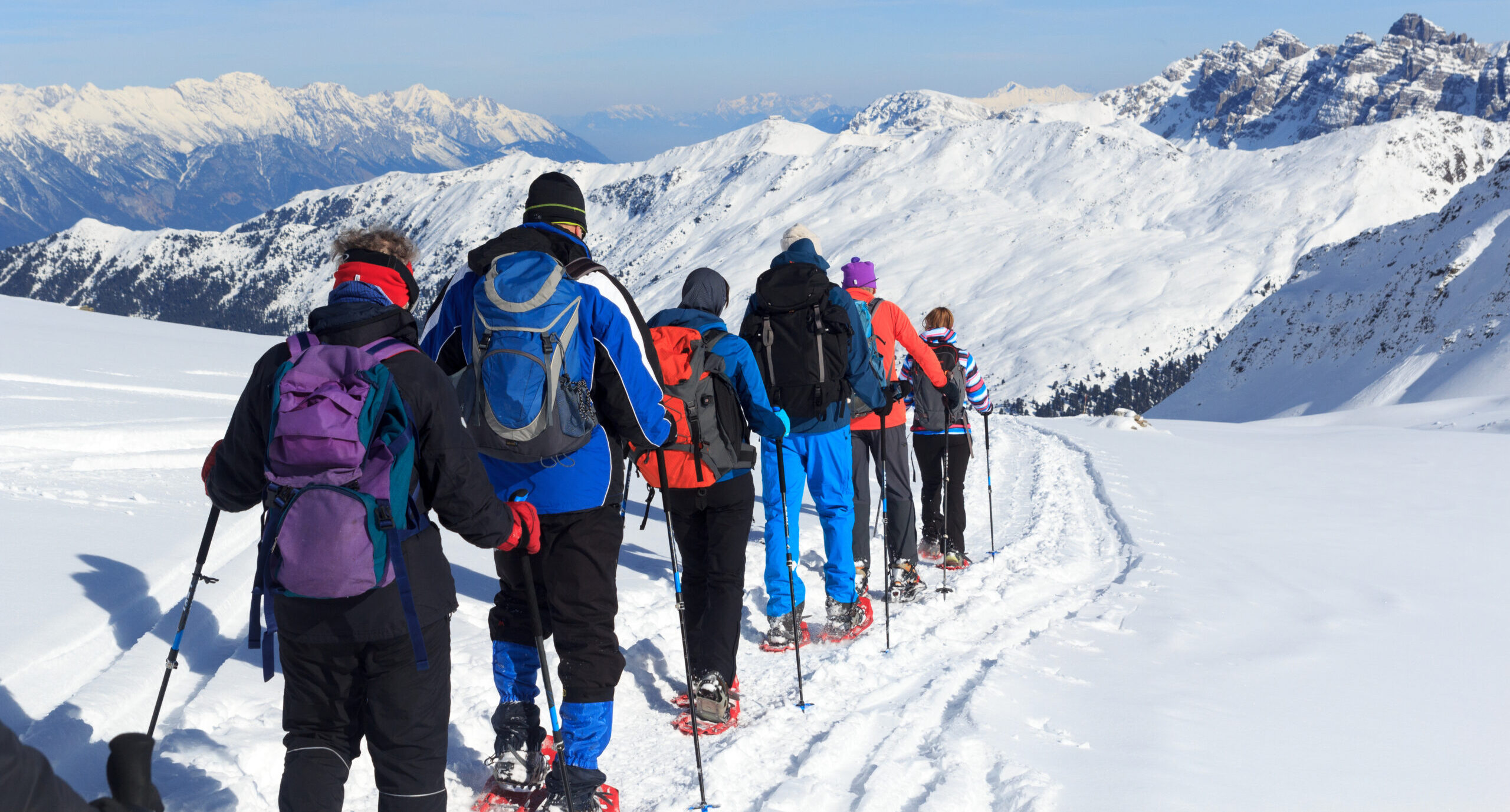 image pleine largeur