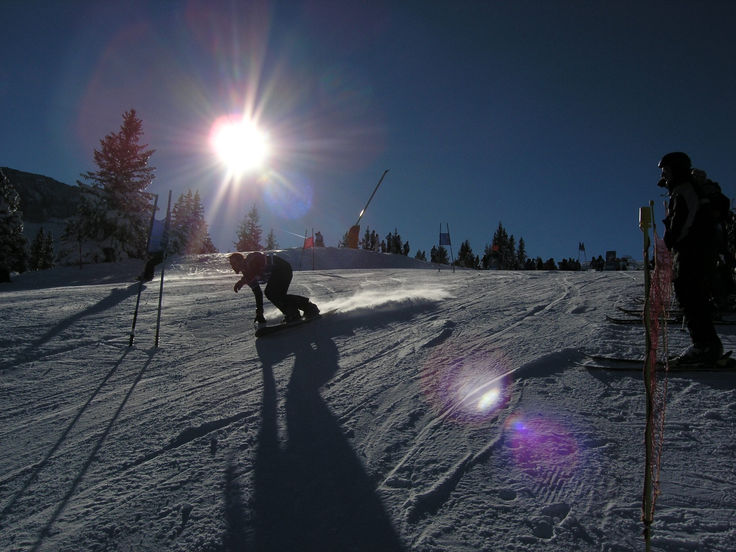 image pleine largeur