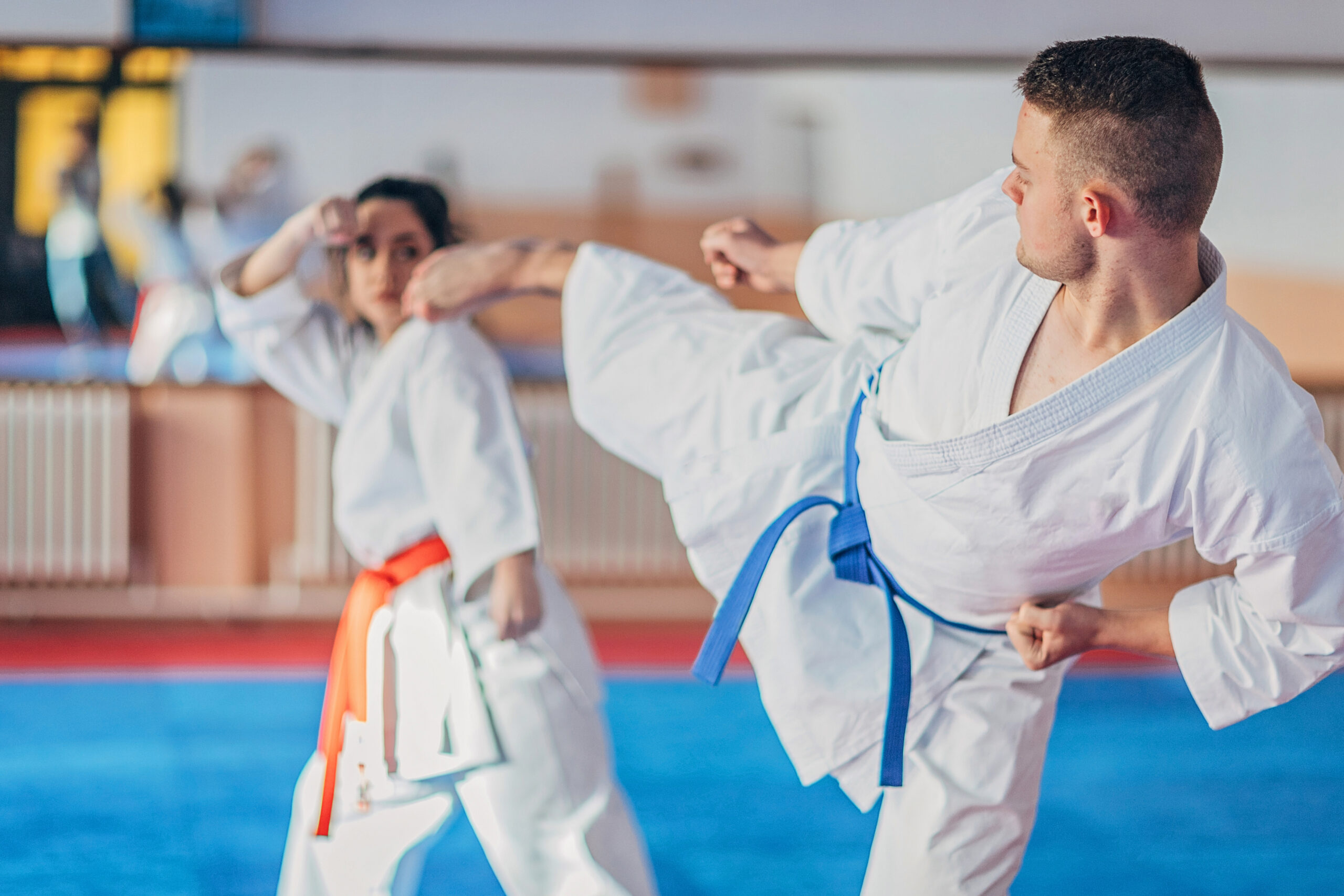 image pleine largeur