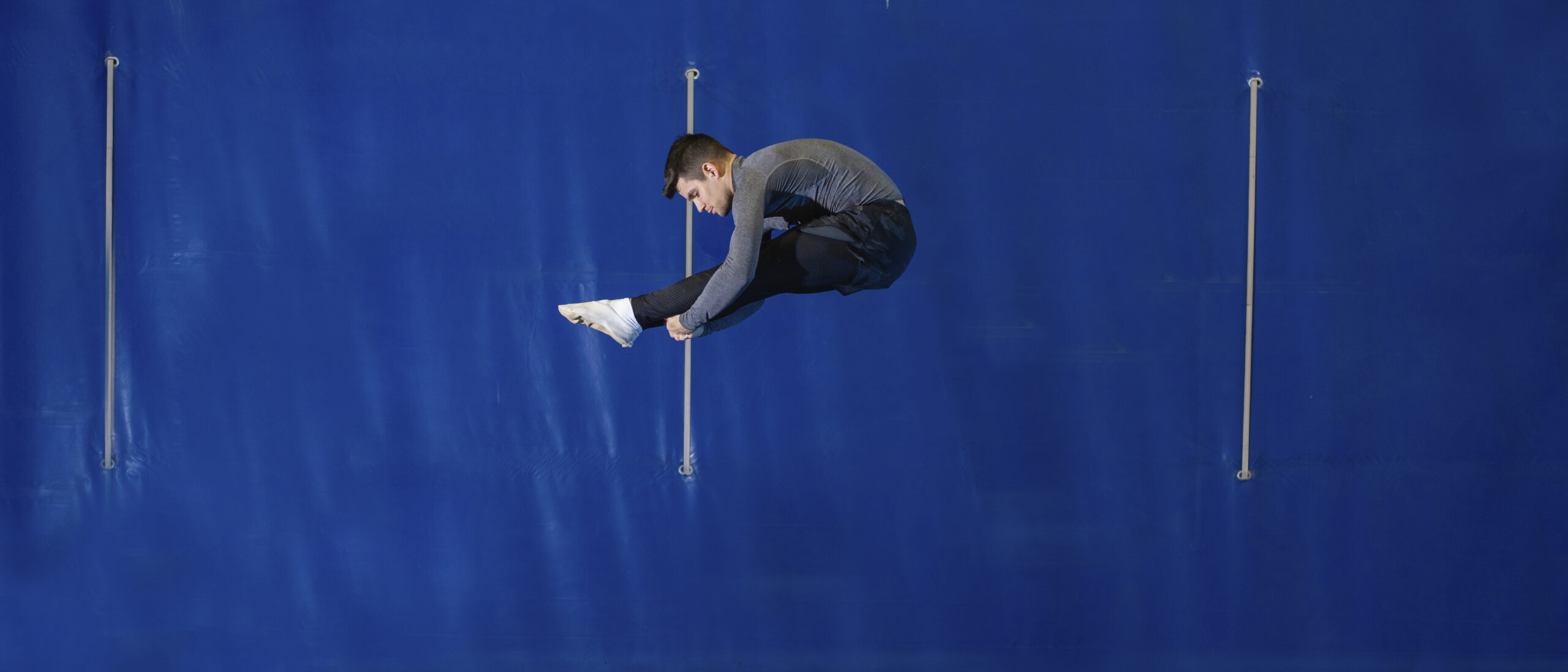 image pleine largeur