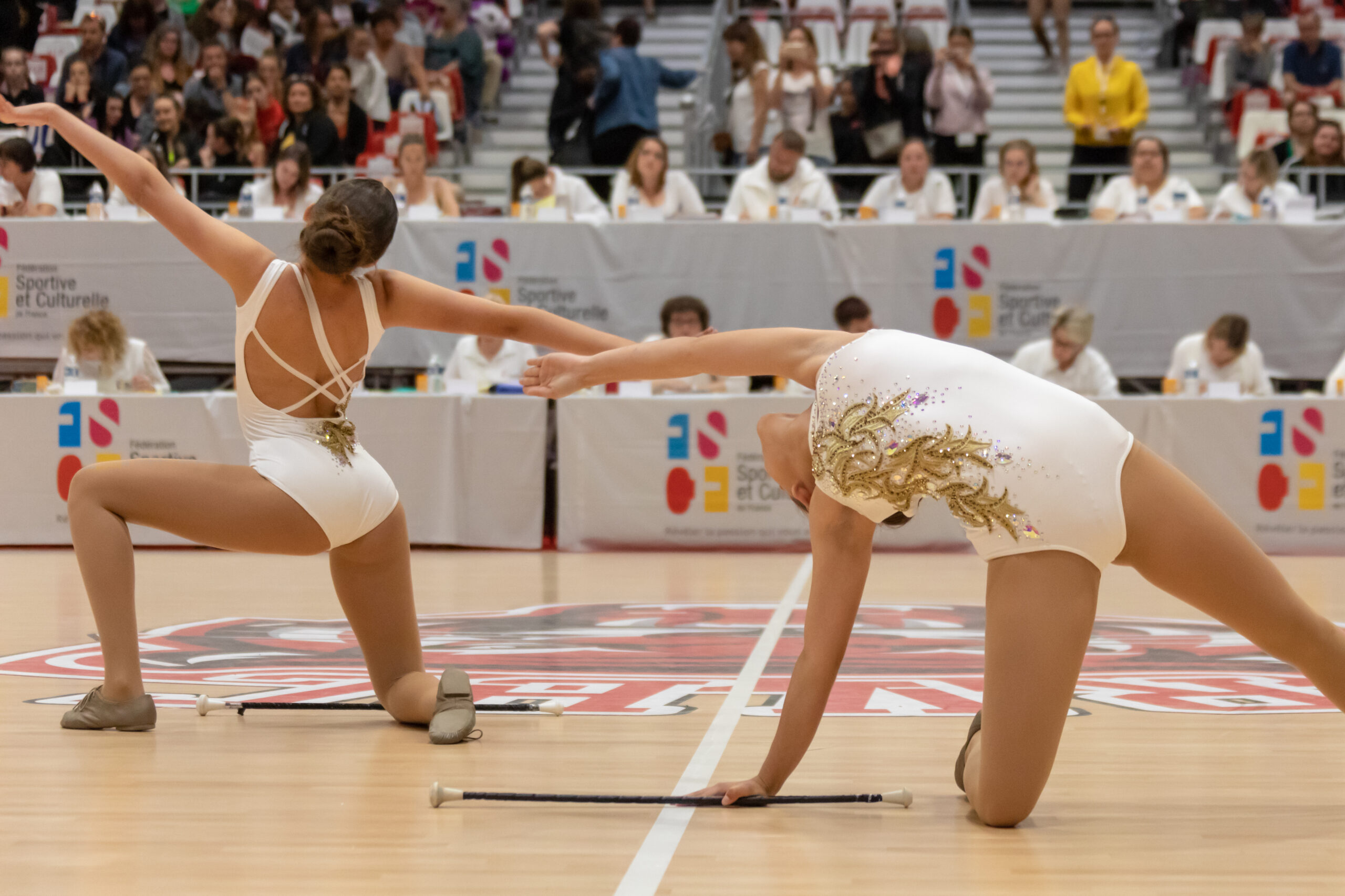 image pleine largeur