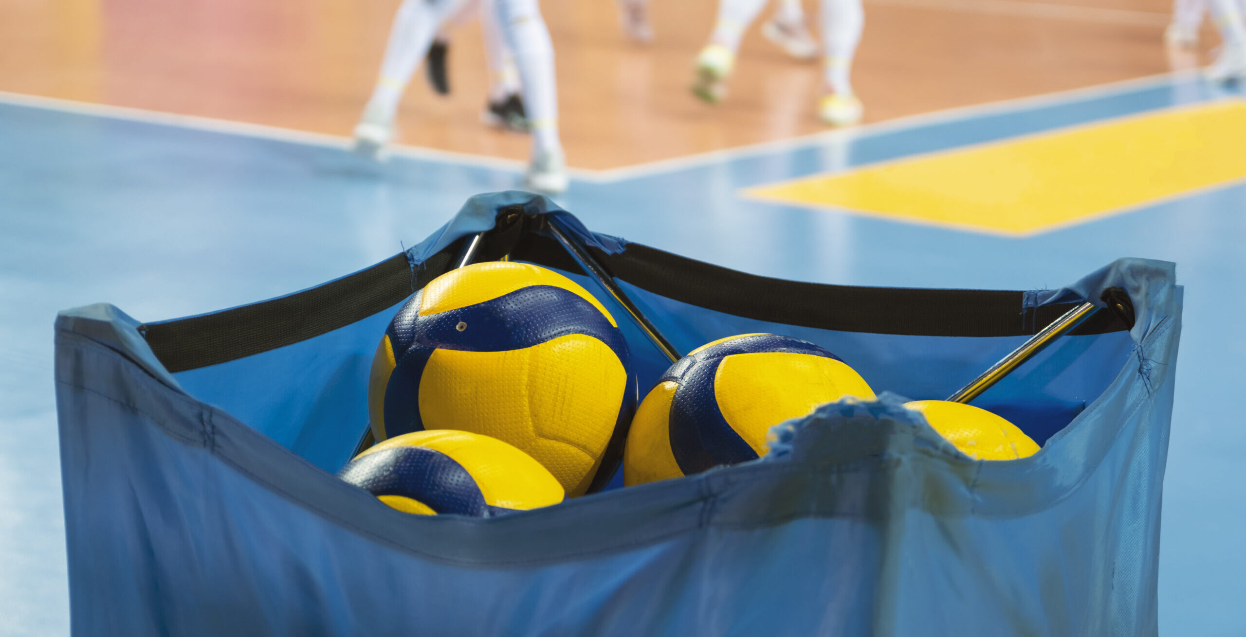 image pleine largeur