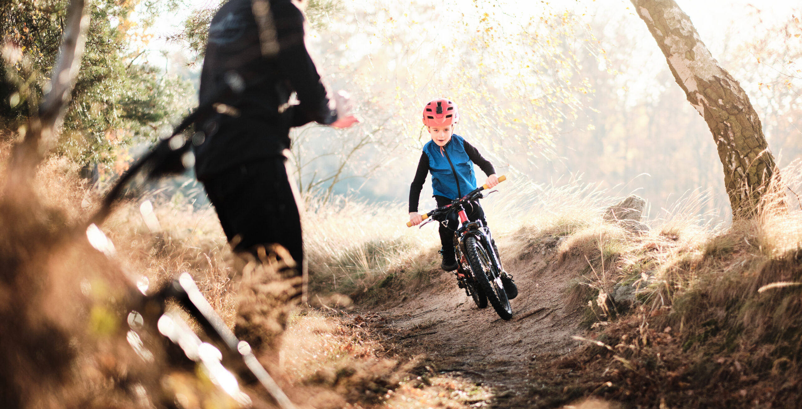 image pleine largeur